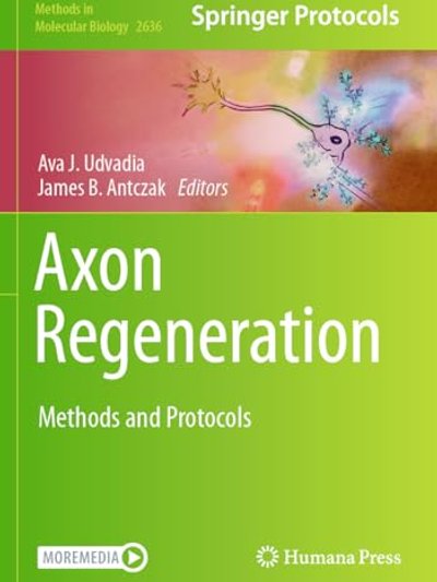 Axon Regeneration