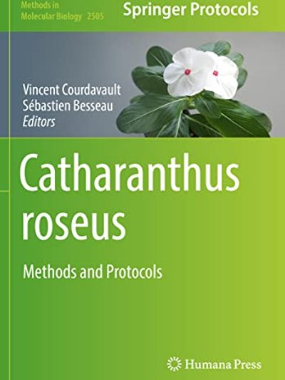 Catharanthus Roseus