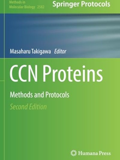 CCN Proteins