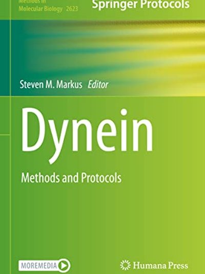 Dynein