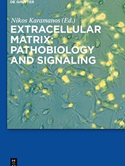 Extracellular matrix