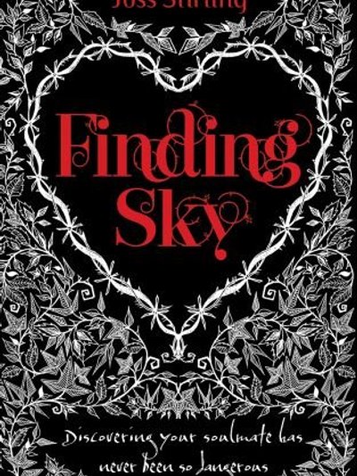 Finding Sky