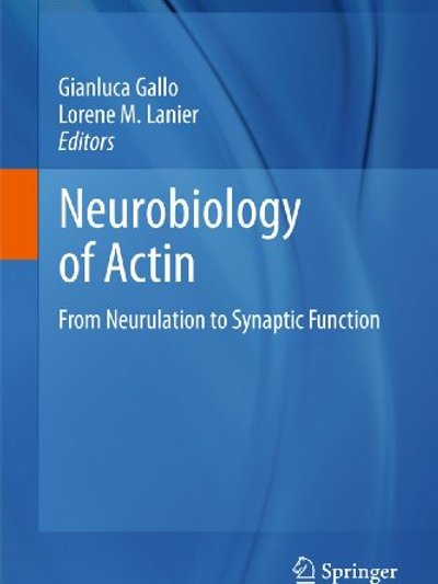 Neurobiology of Actin