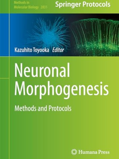 Neuronal Morphogenesis