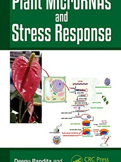 Plant MicroRNAs and Stress Response