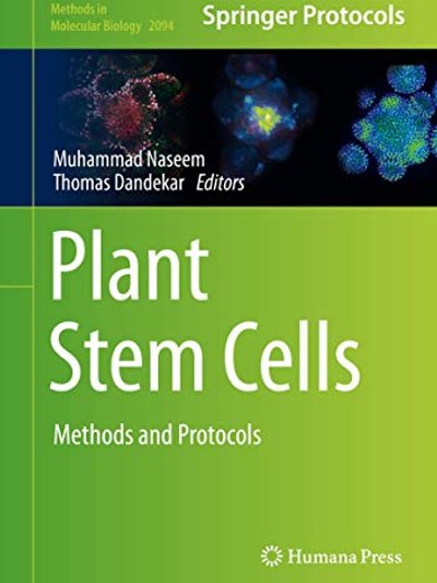 Plant Stem Cells