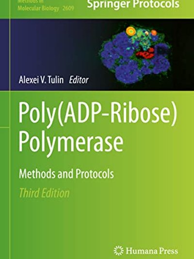 Poly Polymerase