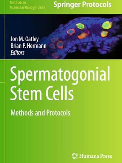 Spermatogonial Stem Cells