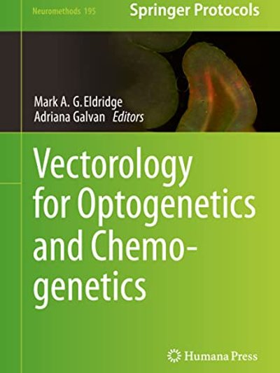 Vectorology for Optogenetics and Chemogenetics